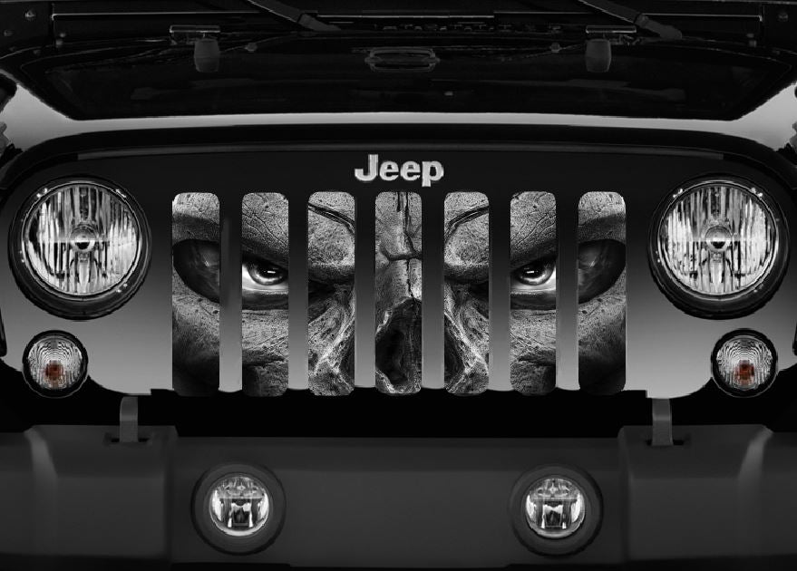 Always Watching (Gray Eyes) Grille Insert