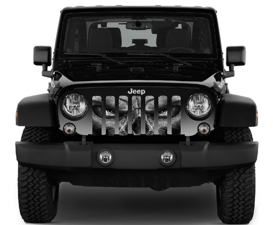 Always Watching (Gray Eyes) Grille Insert
