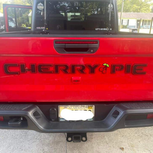 Custom Tailgate Emblem - Choose Your Letters - Image 18